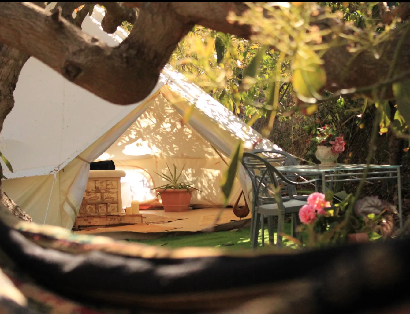 Glamping tent 